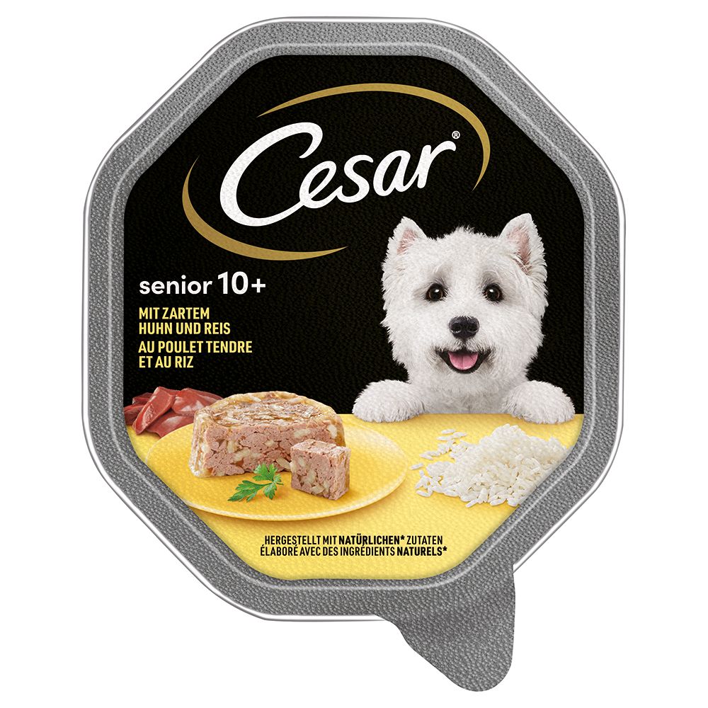 Cesar Senior 10+ Bowl 28 x 150g
