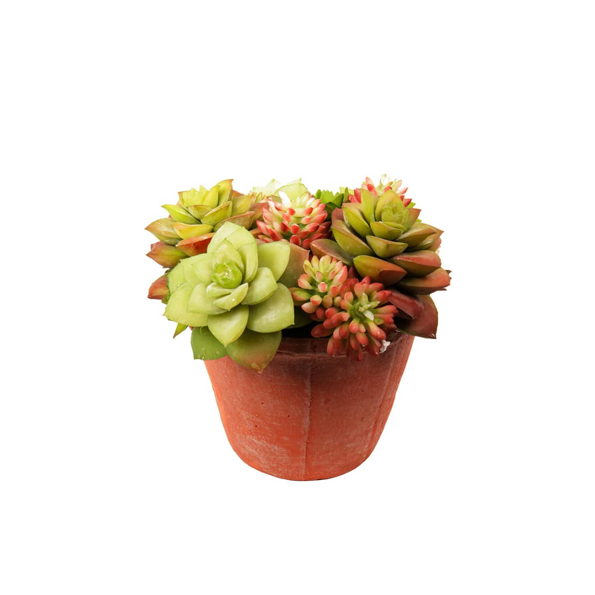 - Succulentes en pot artificielle vertes et terracotta H17