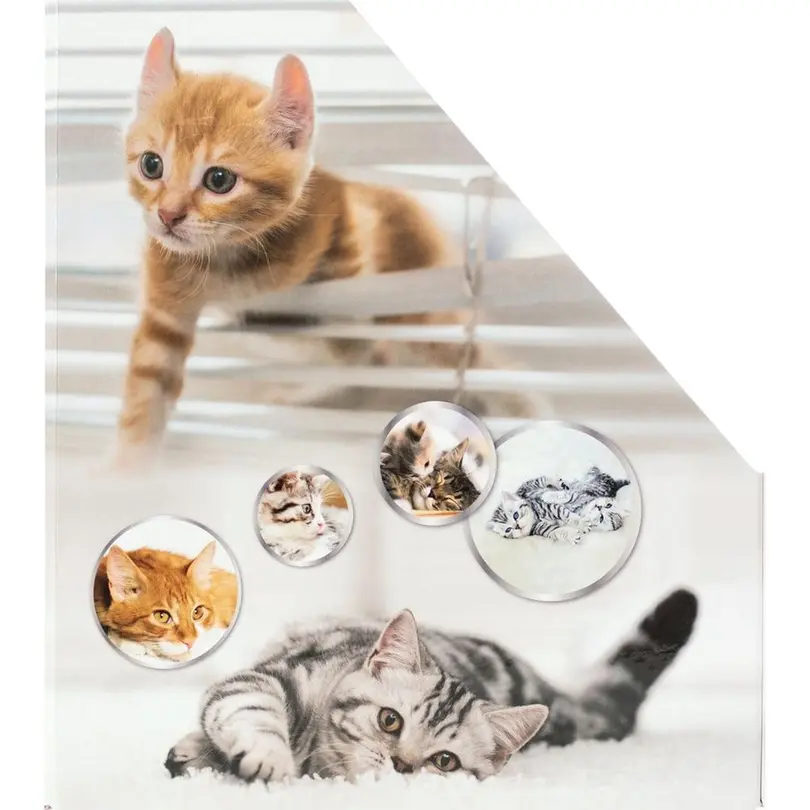 Stehsammler Katzen