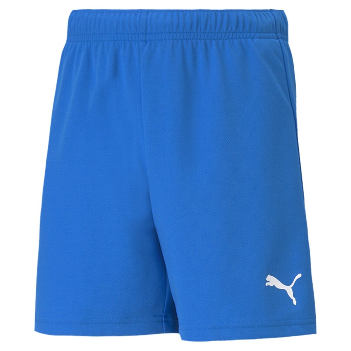 Puma - TEAMRISE SHORT - Blue