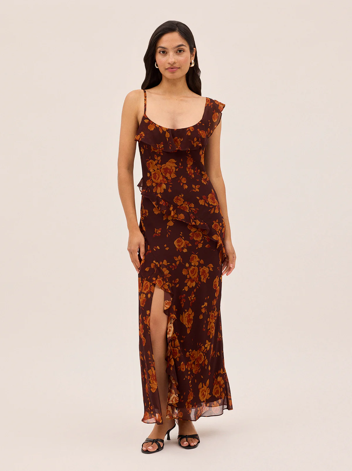 Delphina Autumn Rose Print Dress