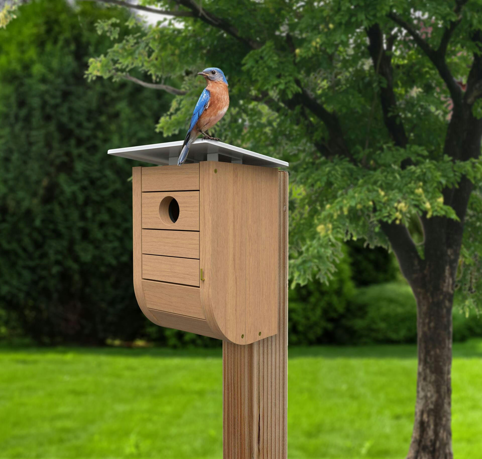 Panacea Nordic Modern Bluebird Wooden Bird House with Metal Roof, 7.4 x 7.4 x 10.9-in