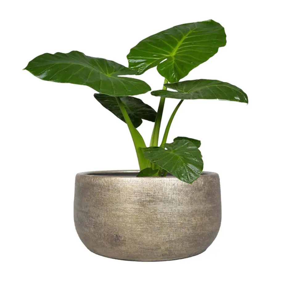 Floran Bloempot - industrieel goud - keramiek - binnen - 34 x 15 cm