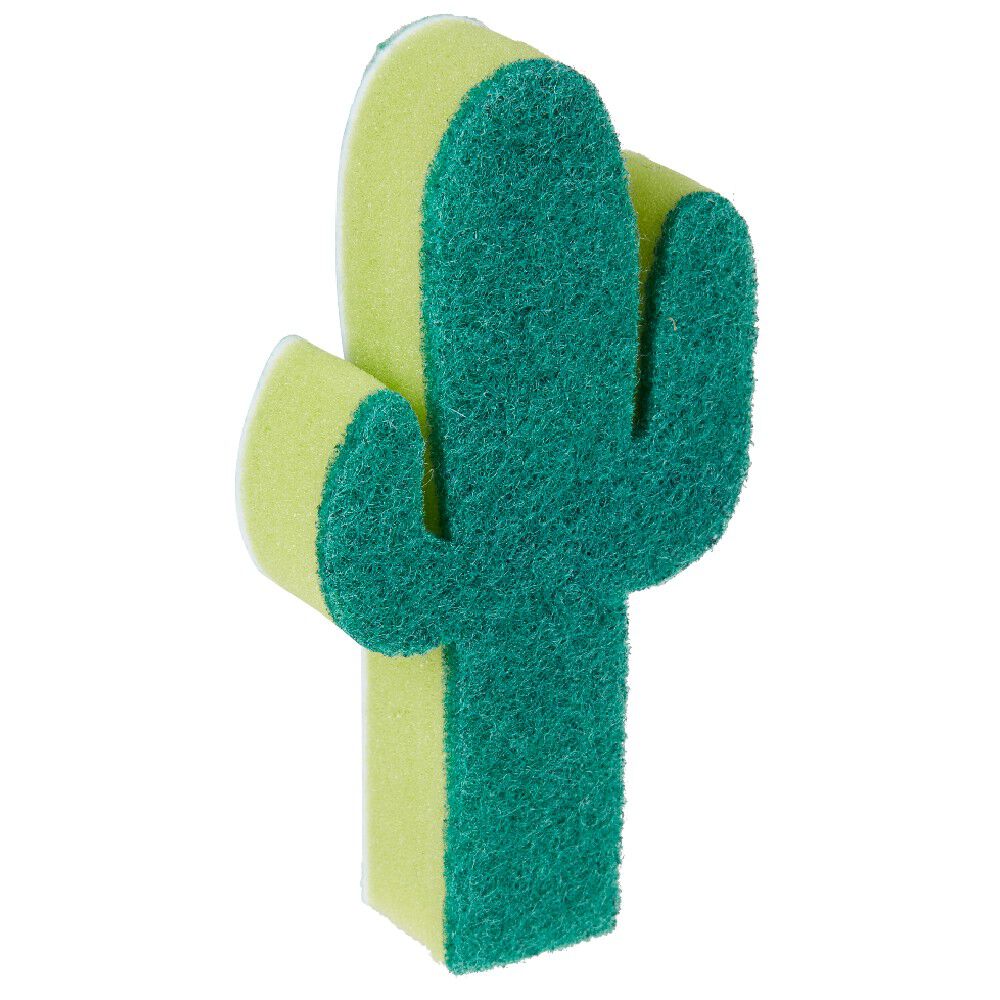 éponge cactus