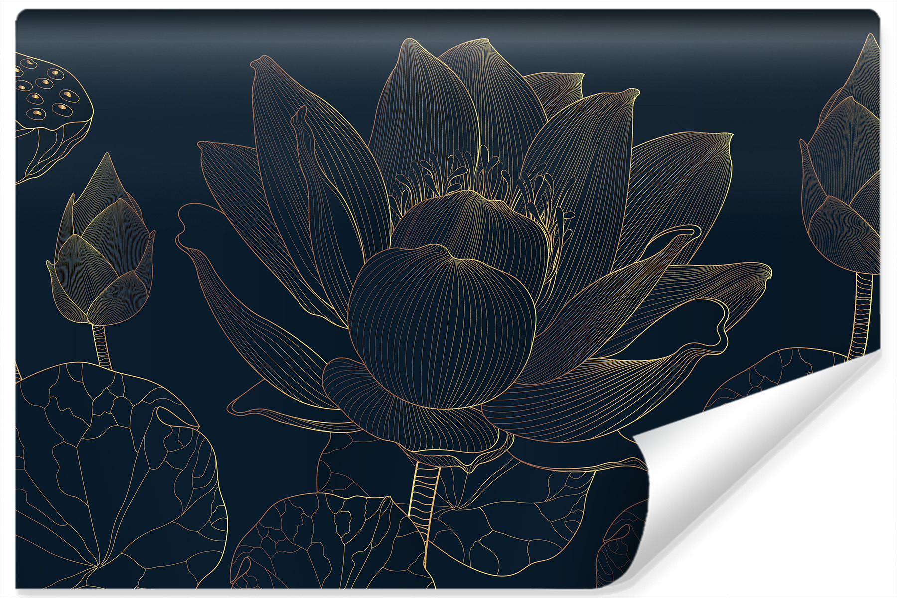 Fototapeta Kwiat LOTOSU Line Art Liście 3D 90x60cm