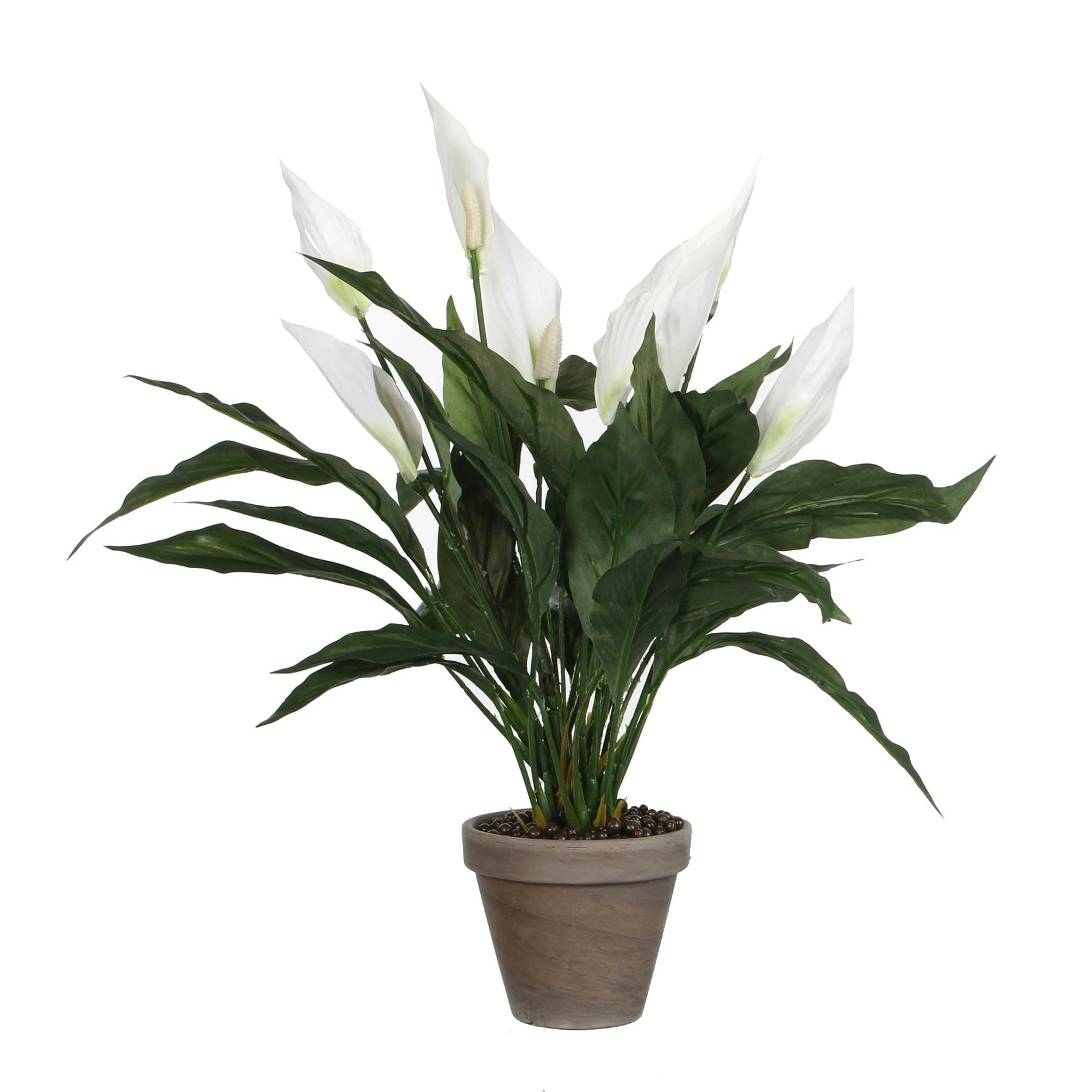- Spathiphyllum artificielle blanc en pot H50
