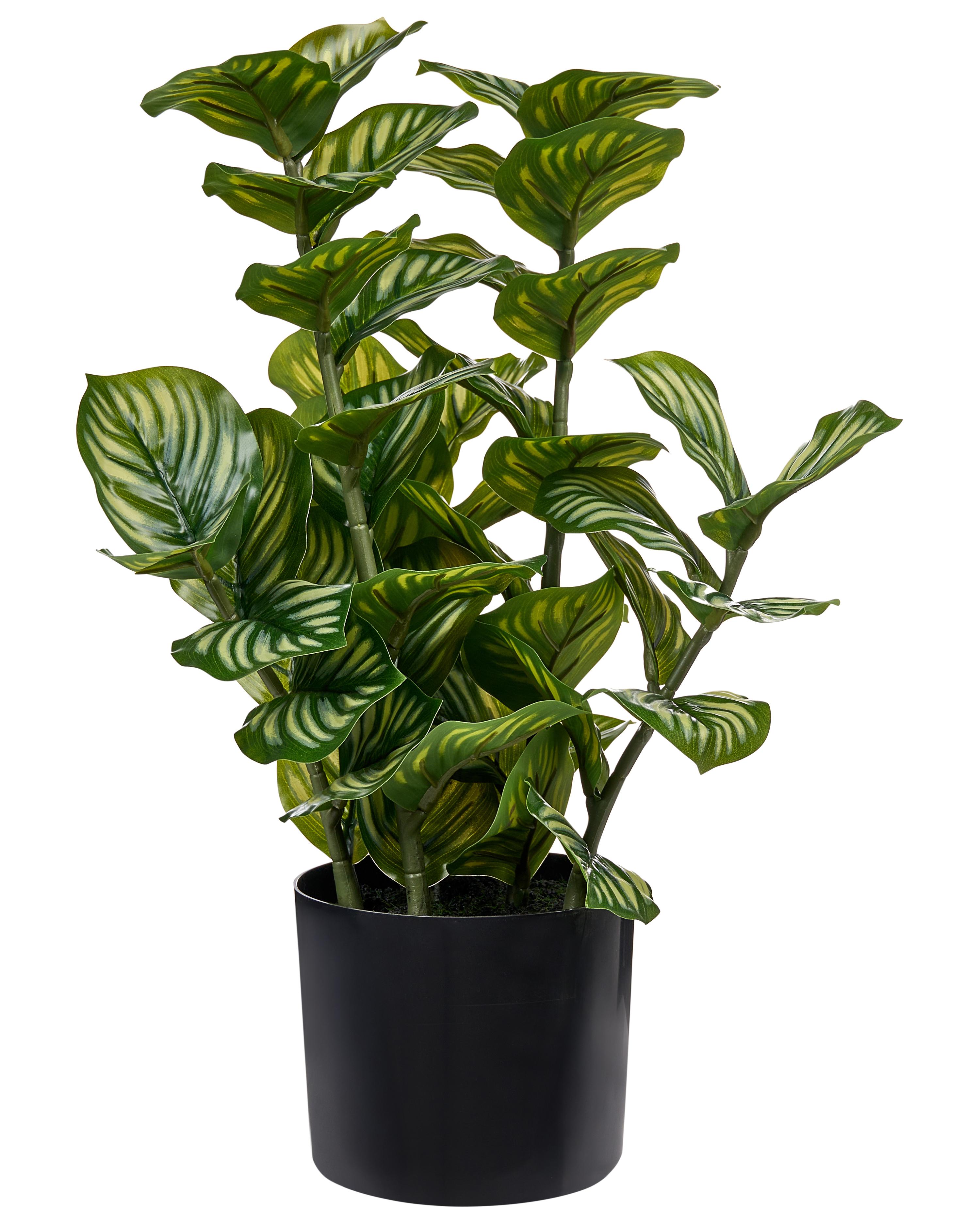 Artificial Plant ORBIFOLIA 50 cm Green