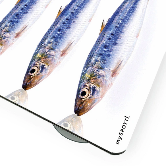 Mini-Spritzschutz »Fische«, Aluverbund, Fische