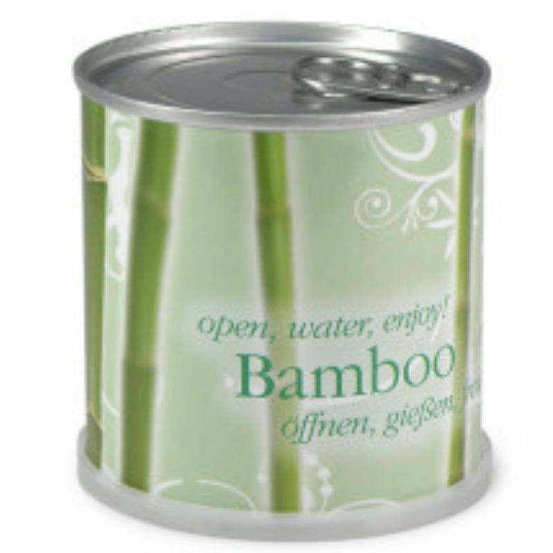 - Bambou Prêt à pousser en canette