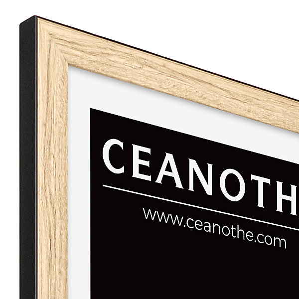 Cadre Newton noir l.13 x H.18 cm Ceanothe