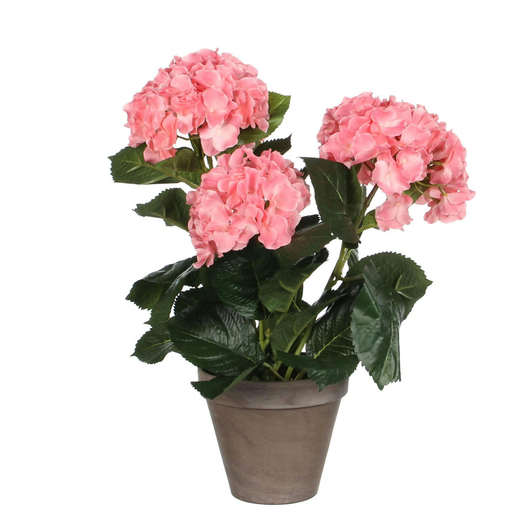 - Hortensia artificielle rose en pot H40