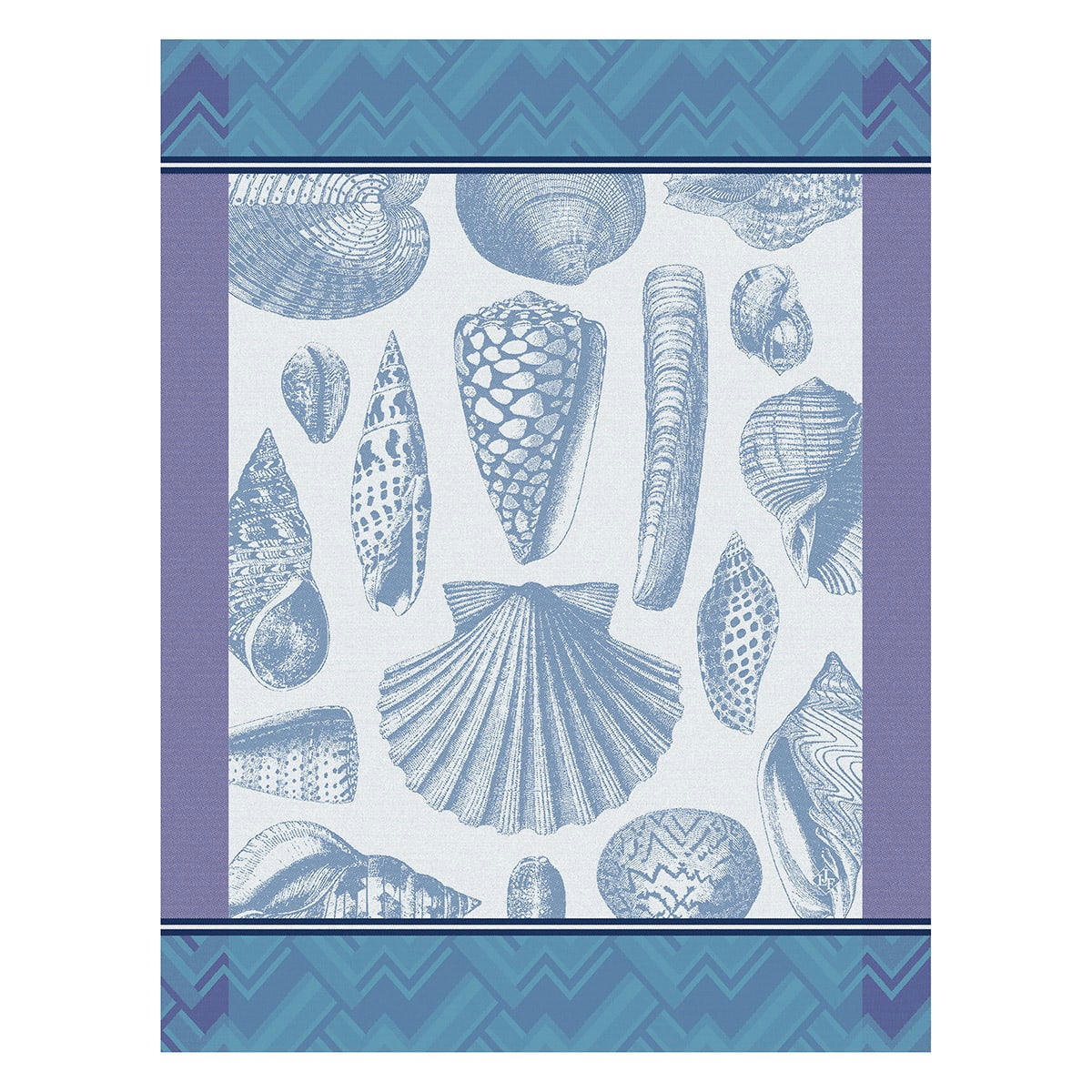 COQUILLAGE - Torchon en coton mer 60 x 80