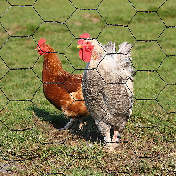 Grillage à poule 1X10 m mailles acier renforcé diamètre0.7 mm