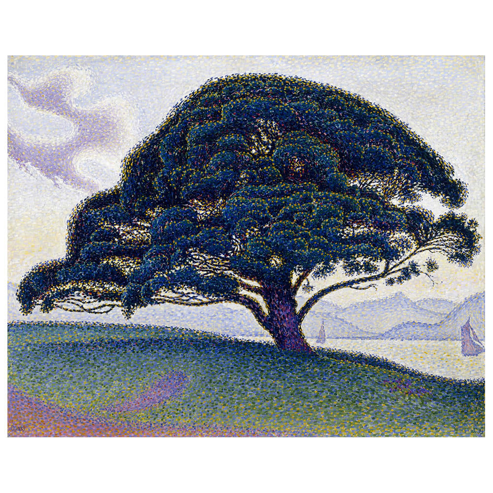 - Tableau le pin, Saint Tropez Paul Signac 50x60cm