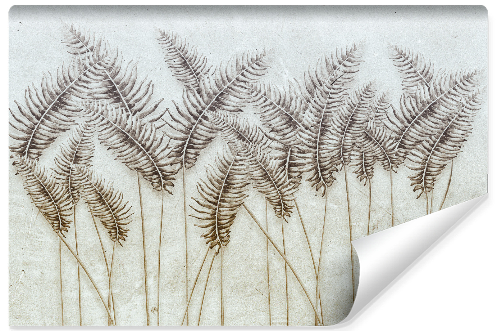 Fototapeta LIŚCIE Palmowe Beton Abstrakcja Retro 90x60cm