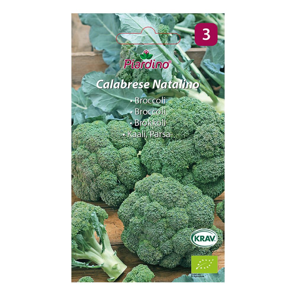 GRØNNSAKSFRØ PIARDINO BROCCOLI CALABR