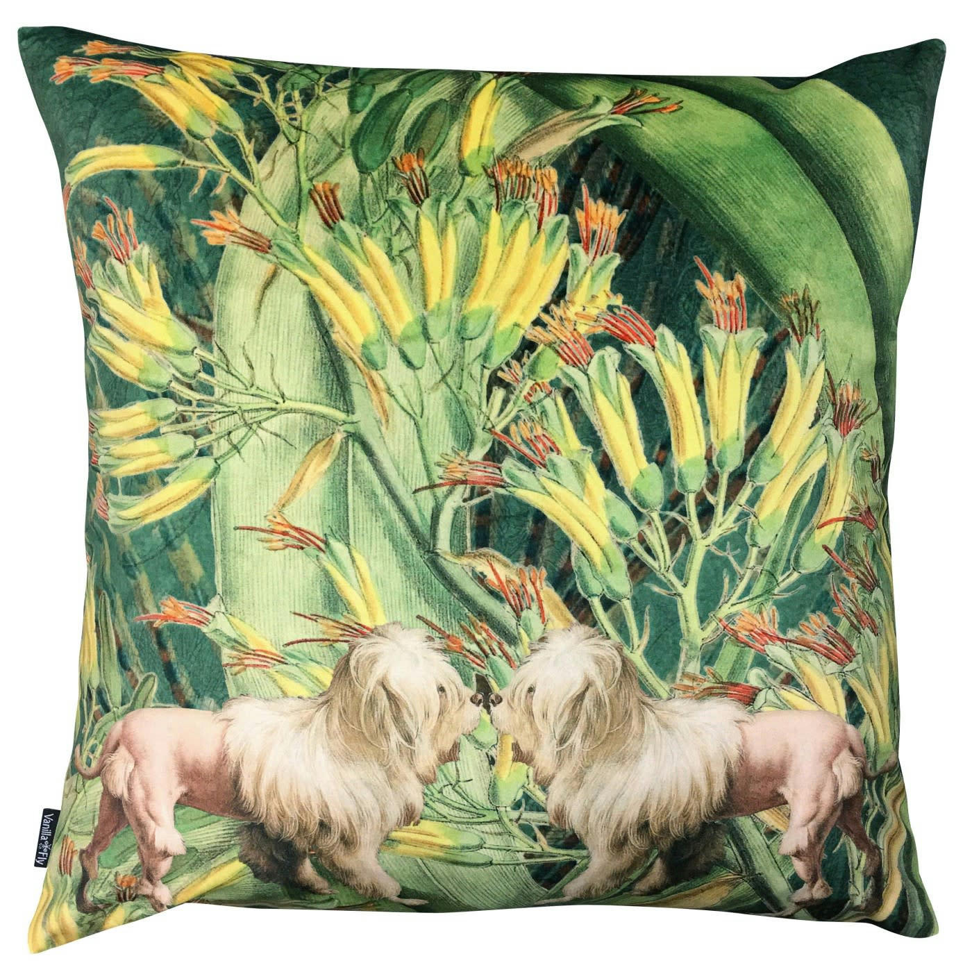 LION DOGS - Coussin en velours 50x50