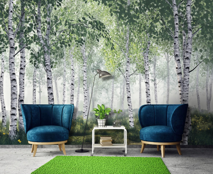 Fototapeta 3D Las Brzozowy Drzewa Natura Na Ścianę Sypialnia Salon 250X175