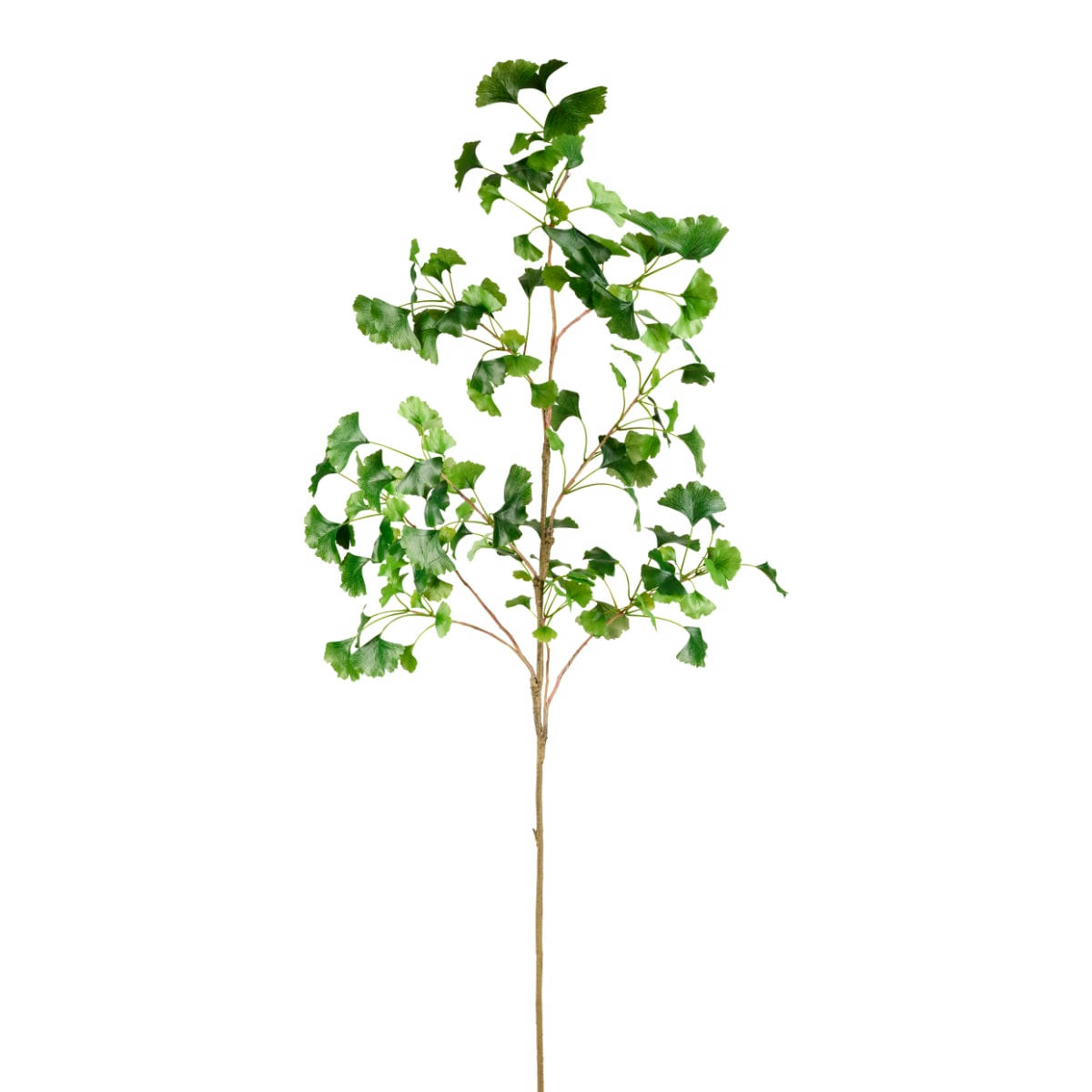 GINKGO - Tige artificielle verte H132