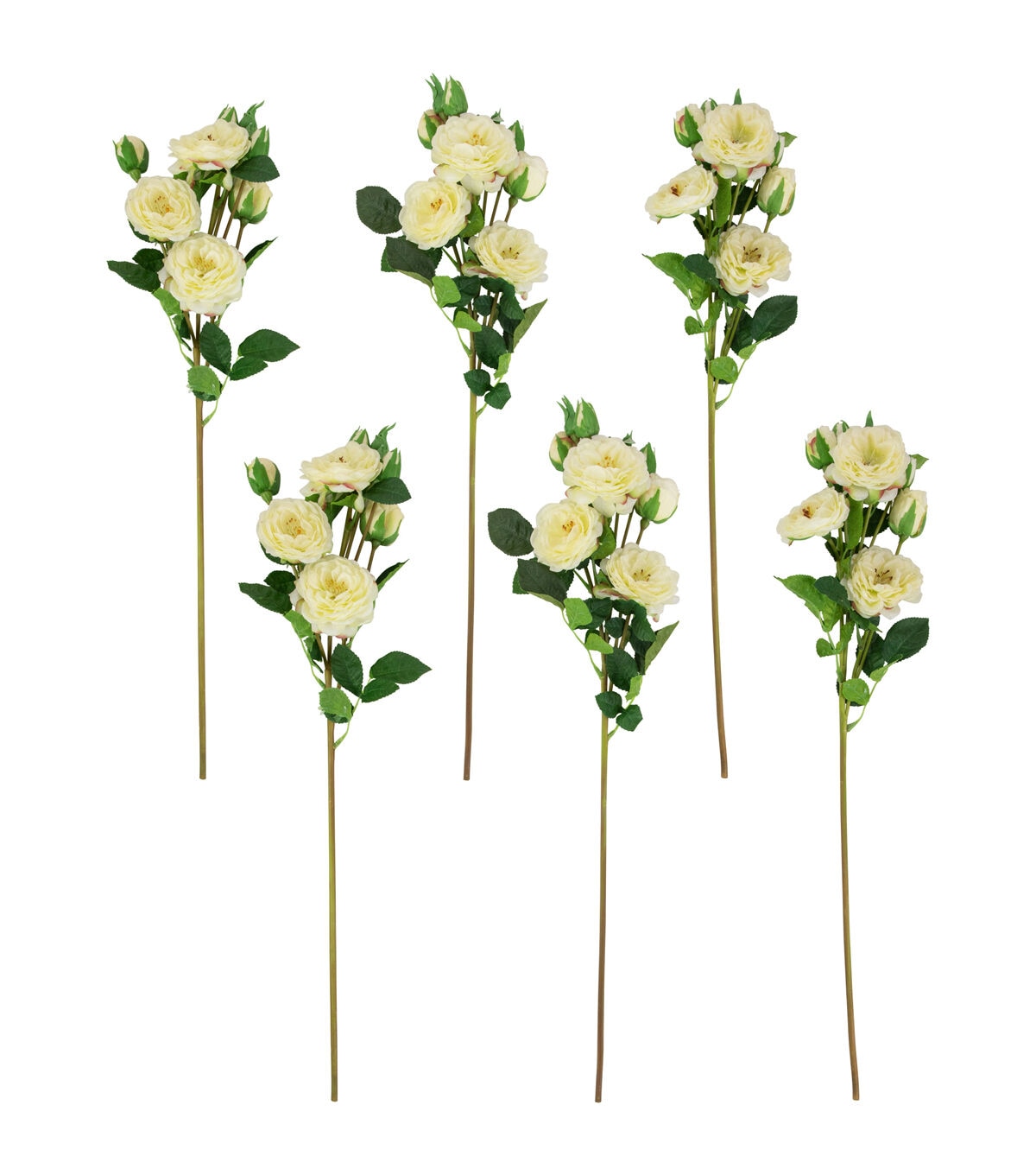 Northlight 23 White Camellia Rose Stems 6ct