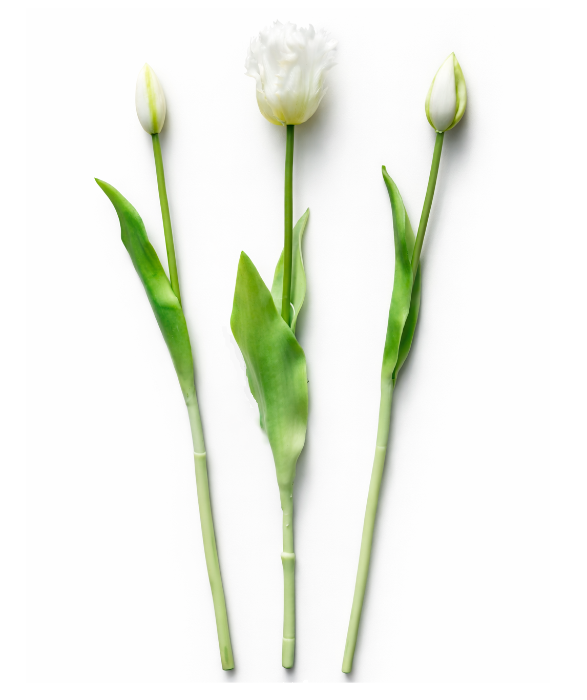 Mensa Home Sztuczny tulipan biały (1szt. mix)