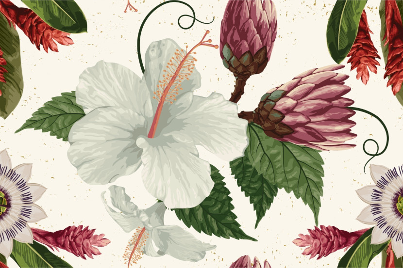 Fototapeta Do Salonu Biały HIBISKUS Kwiaty 90x60cm