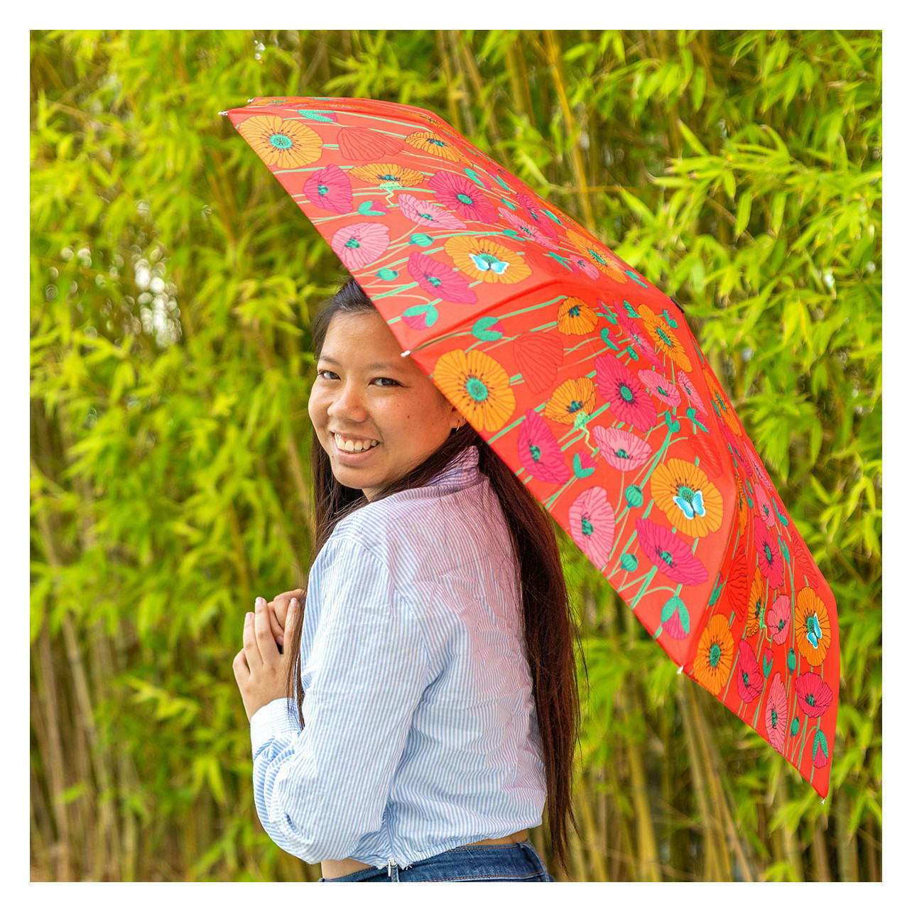 PARAPLI - Parapluie