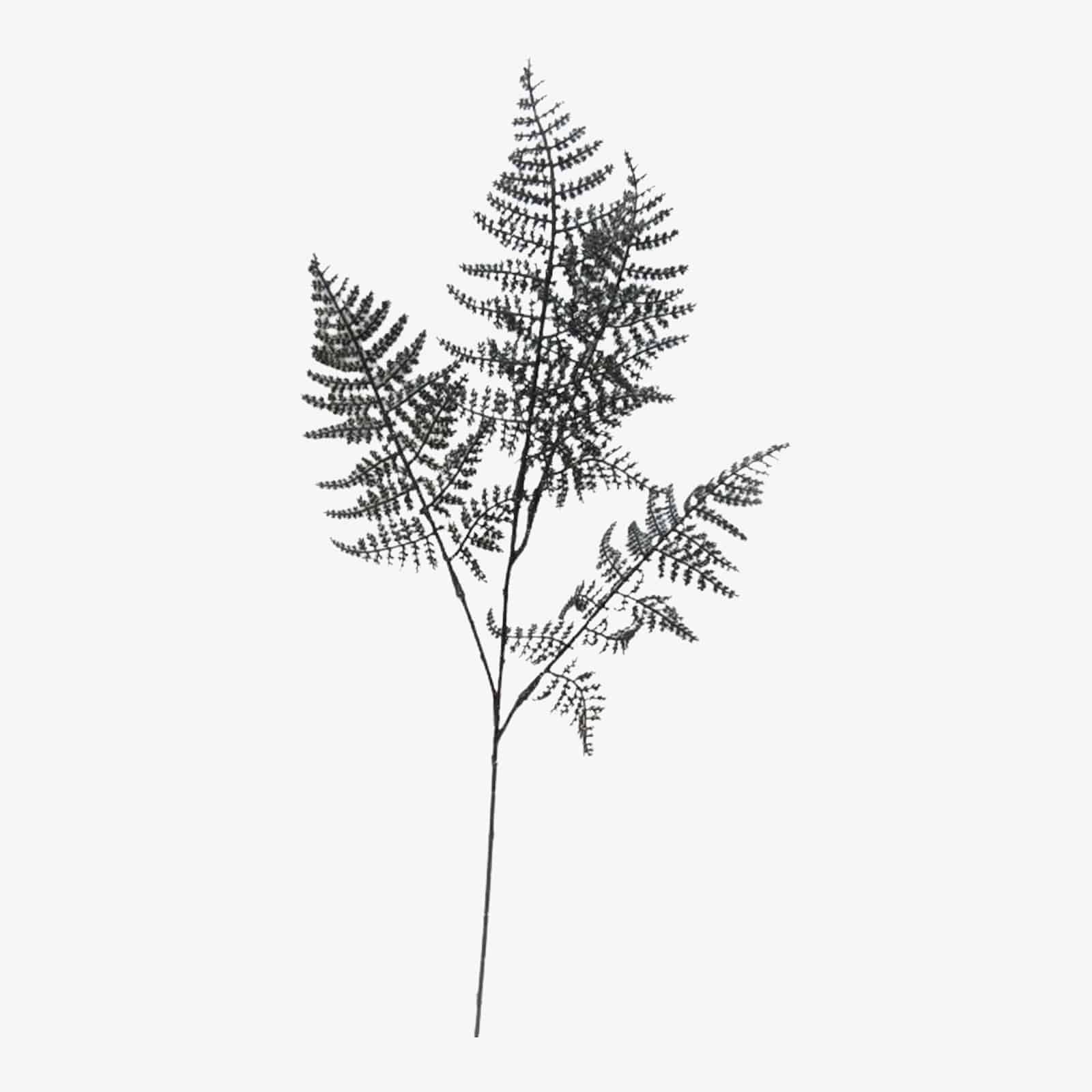 Glitzer-Kunstzweig Farn Schwarz,L 880 mm