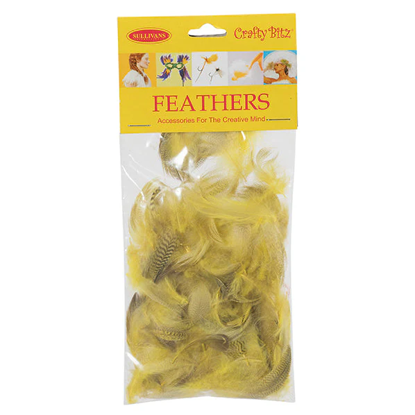 Duck Feathers, 2g