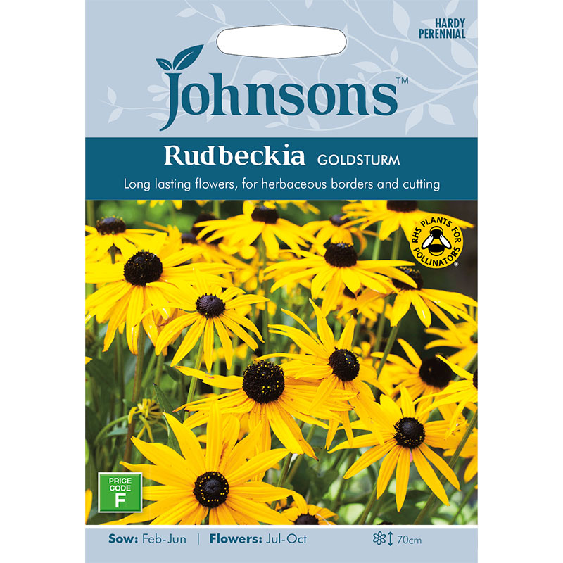 Strålrudbeckia 'Goldsturm'
