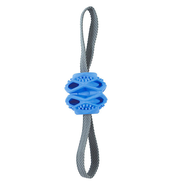 Jouet Balle TPR cache friandises Bleu D 7.8 par 31.5 cm pour chien