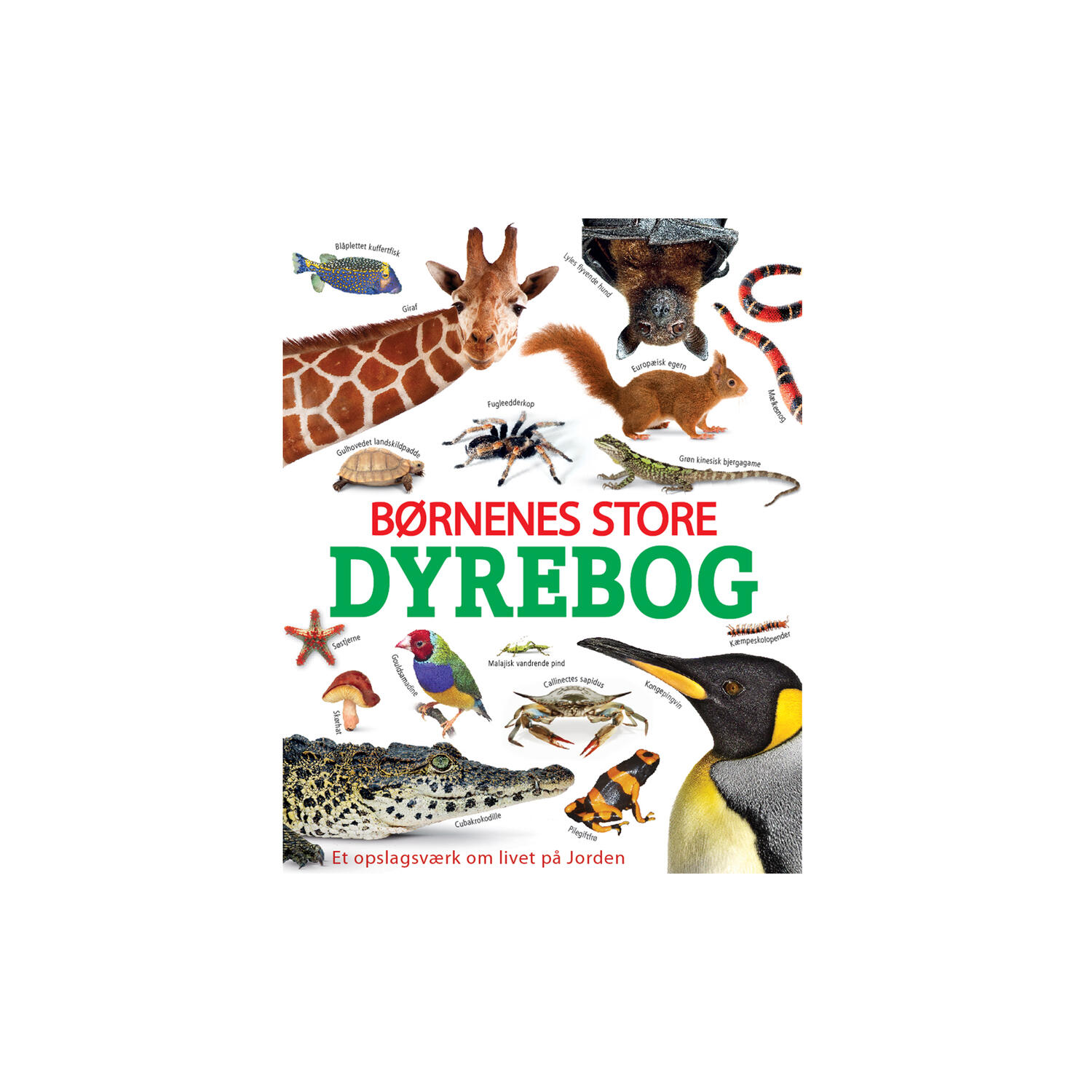 Børnenes store dyrebog