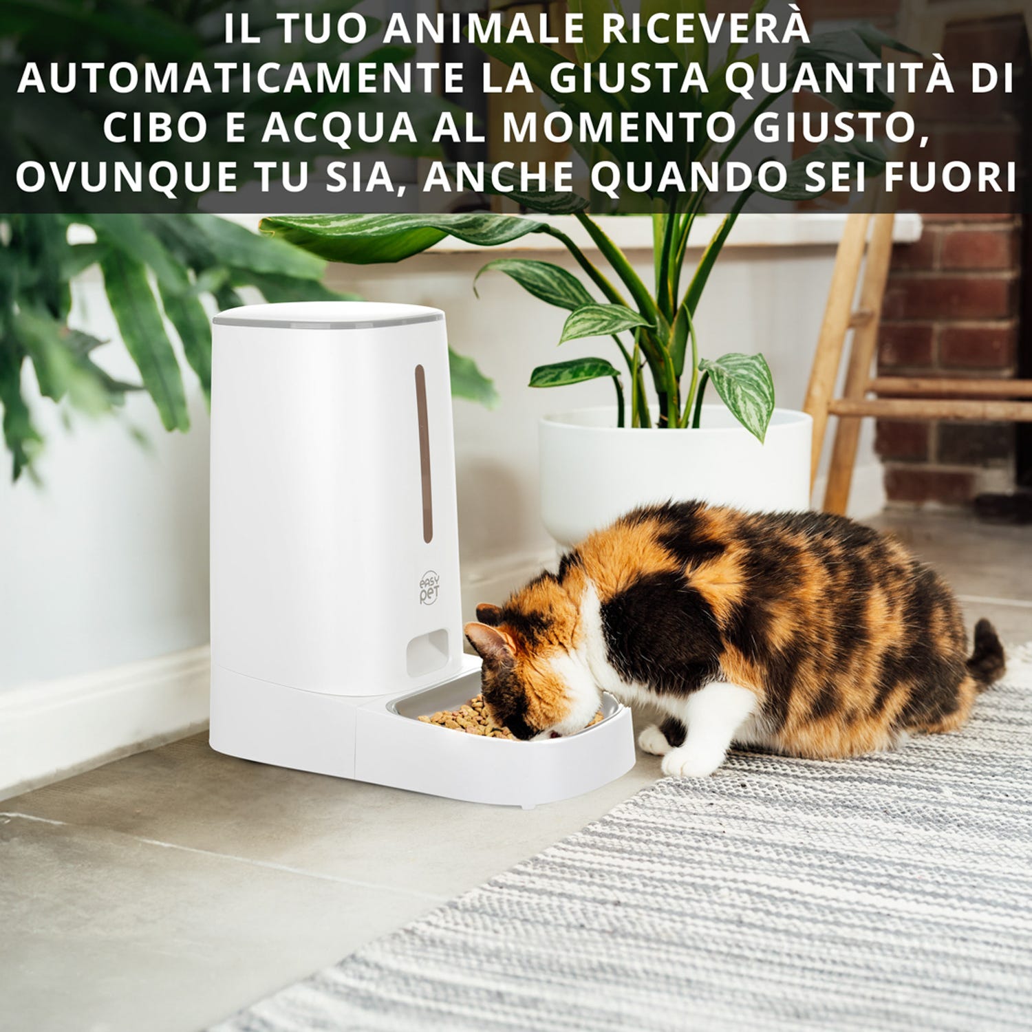 Distributore automatico cibo cani e gatti Easy Pet