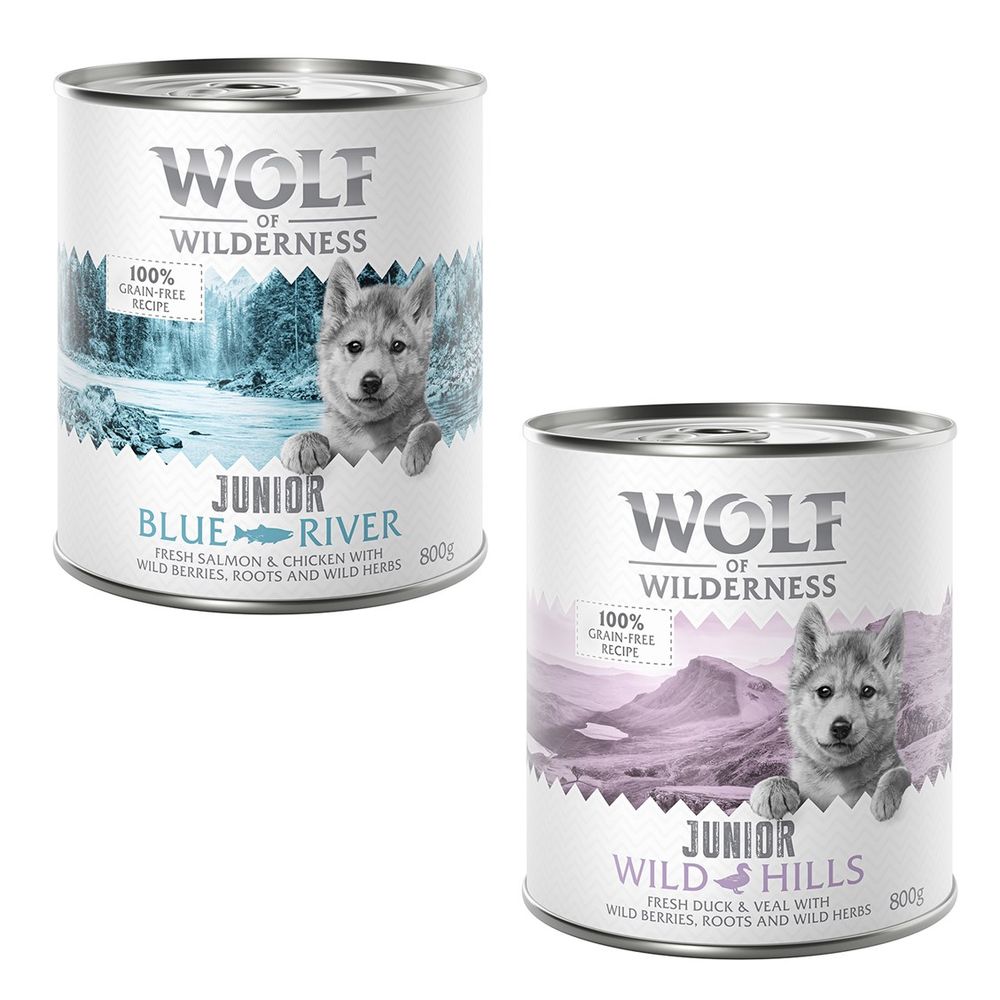 Little Wolf of Wilderness Saver Pack 24 x 800g
