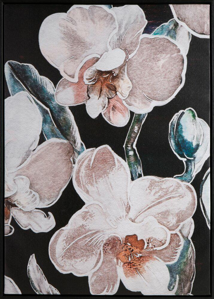 Obraz Kwiaty Orchidei 50x70 cm - Styl Glamour