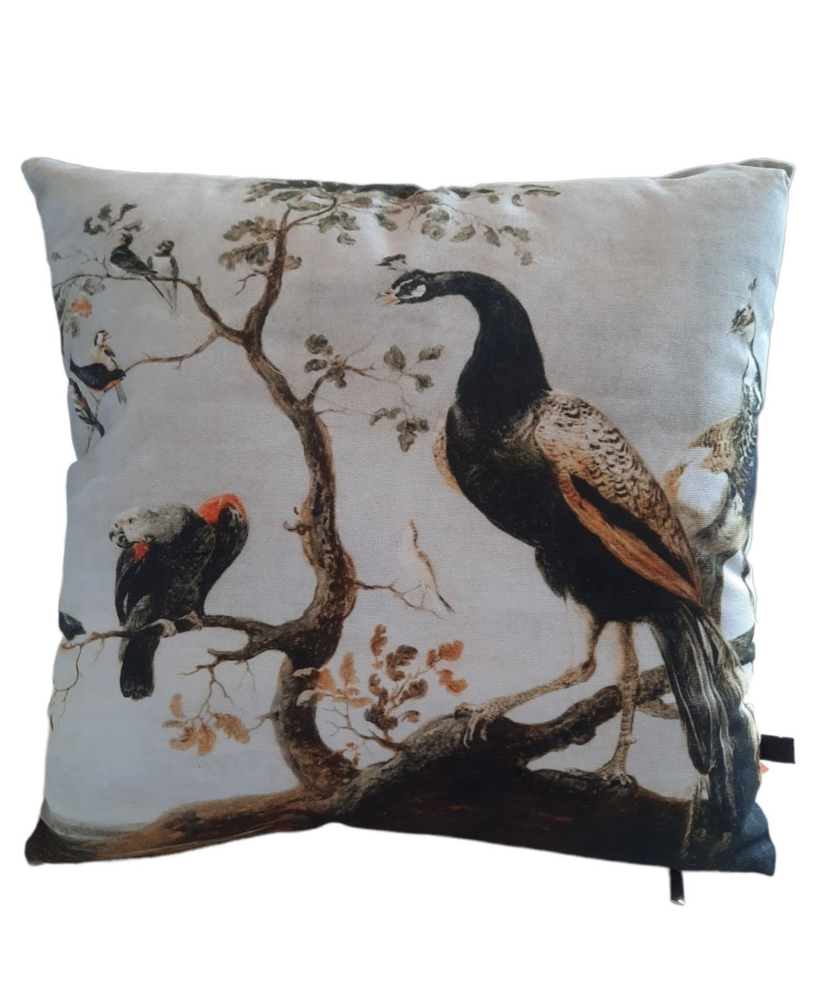 Furnilux Set van 2 Sierkussens - Pauw Rixt - 45x45x10cm