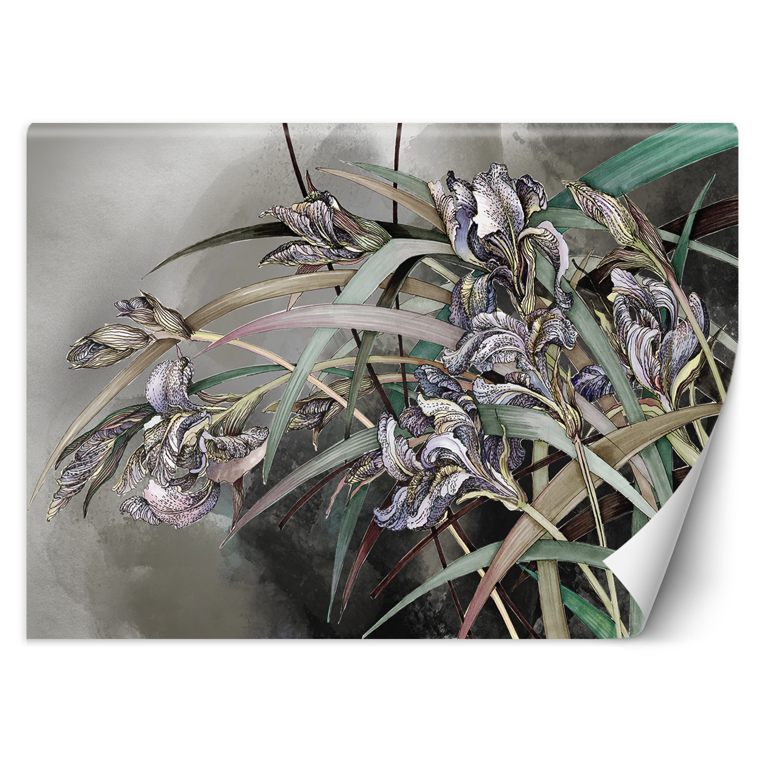 Feeby Fototapeta, Kwiaty Irysy natura rośliny 150x105