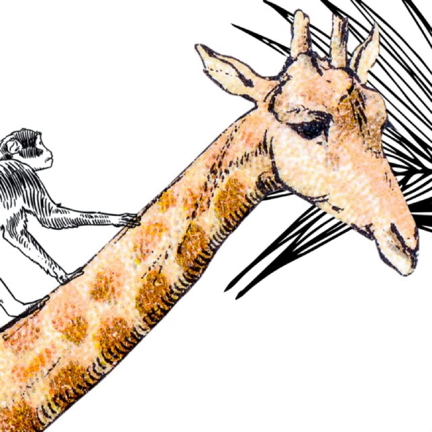 PLENITUDE - Papier Peint Panoramique L336xH270cm Multicolore Animaux