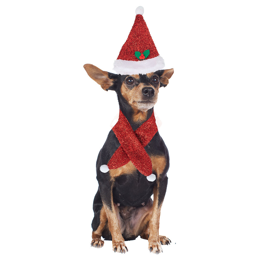 Déguisement No&euml;l bonnet et écharpe pour chien