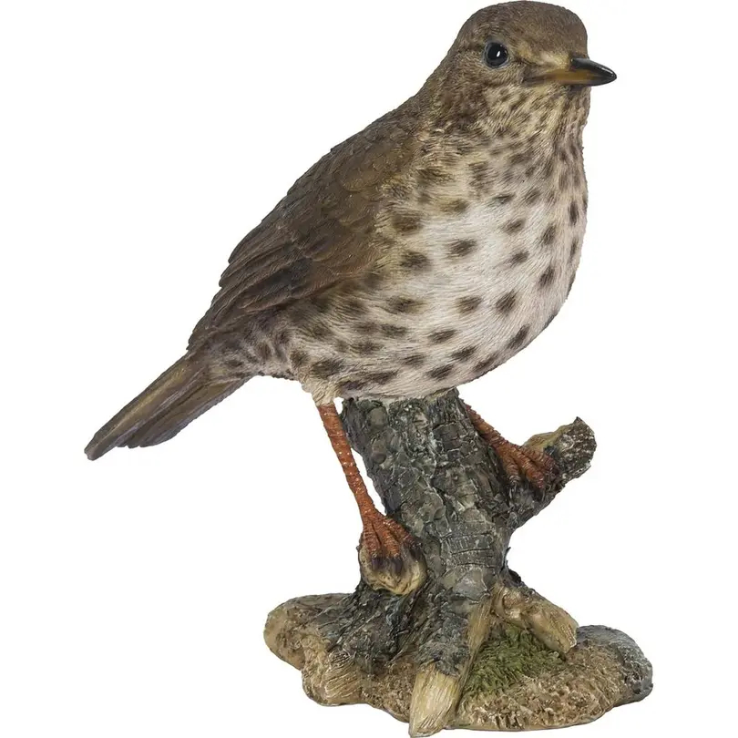 Figur Singdrossel