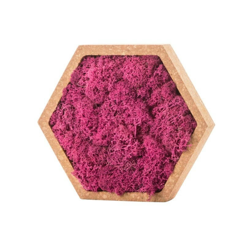 - Tableau végétal hexagonal lichen rose 16 x 16 cm