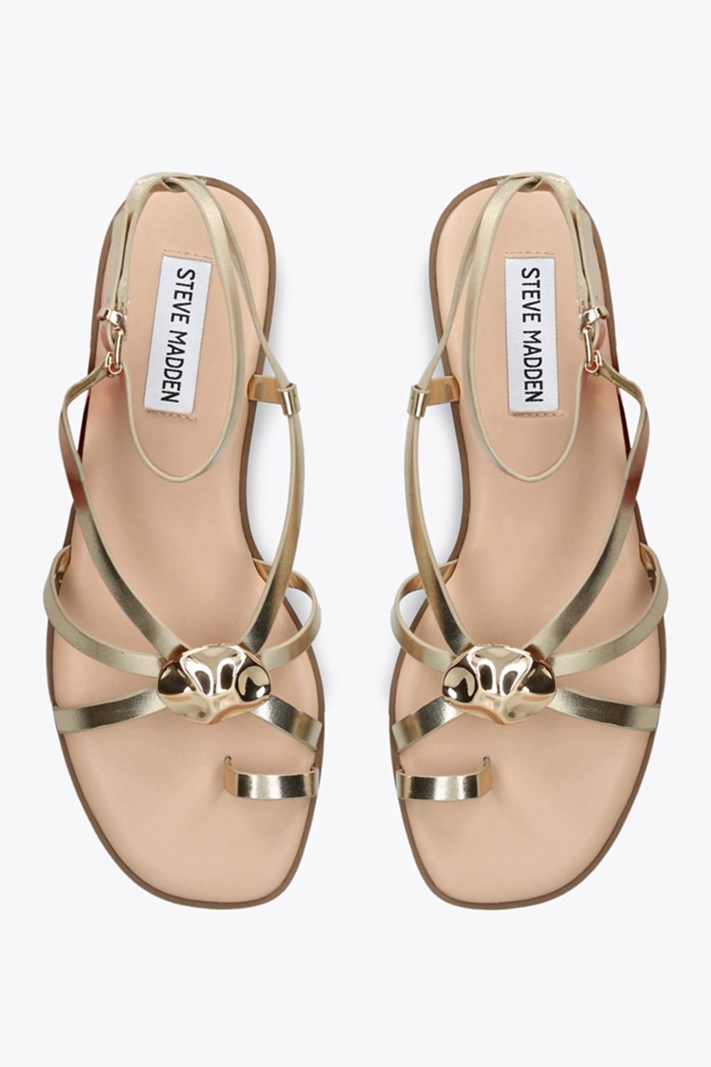 STEVE MADDEN Napa Valley Gold' Sandals