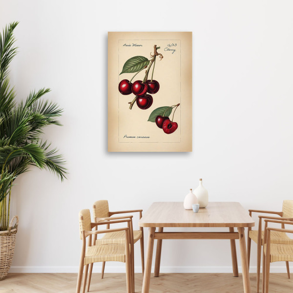 Feeby Obraz na płótnie, Owoce Vintage Wiśnia 40x60