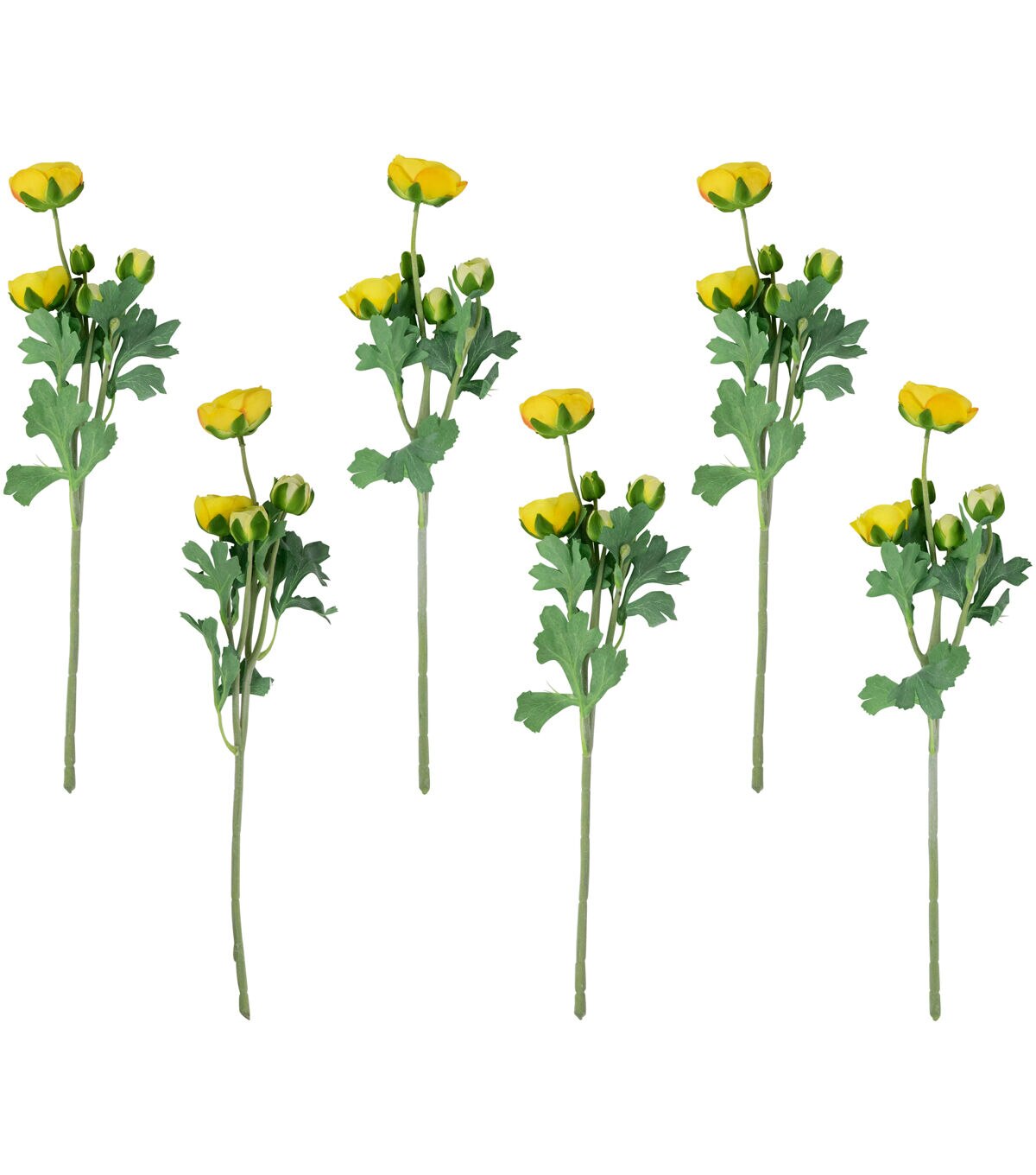 Northlight 21 Yellow Ranunculus Stems 6ct