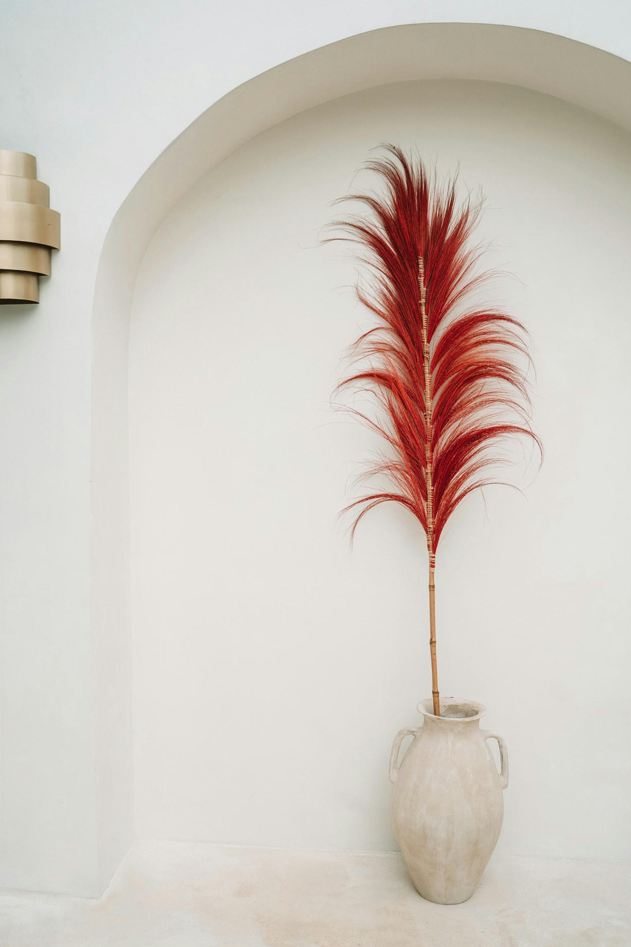 STUNNING LEAF - Feuille en herbe rouge vibrant lot de 6