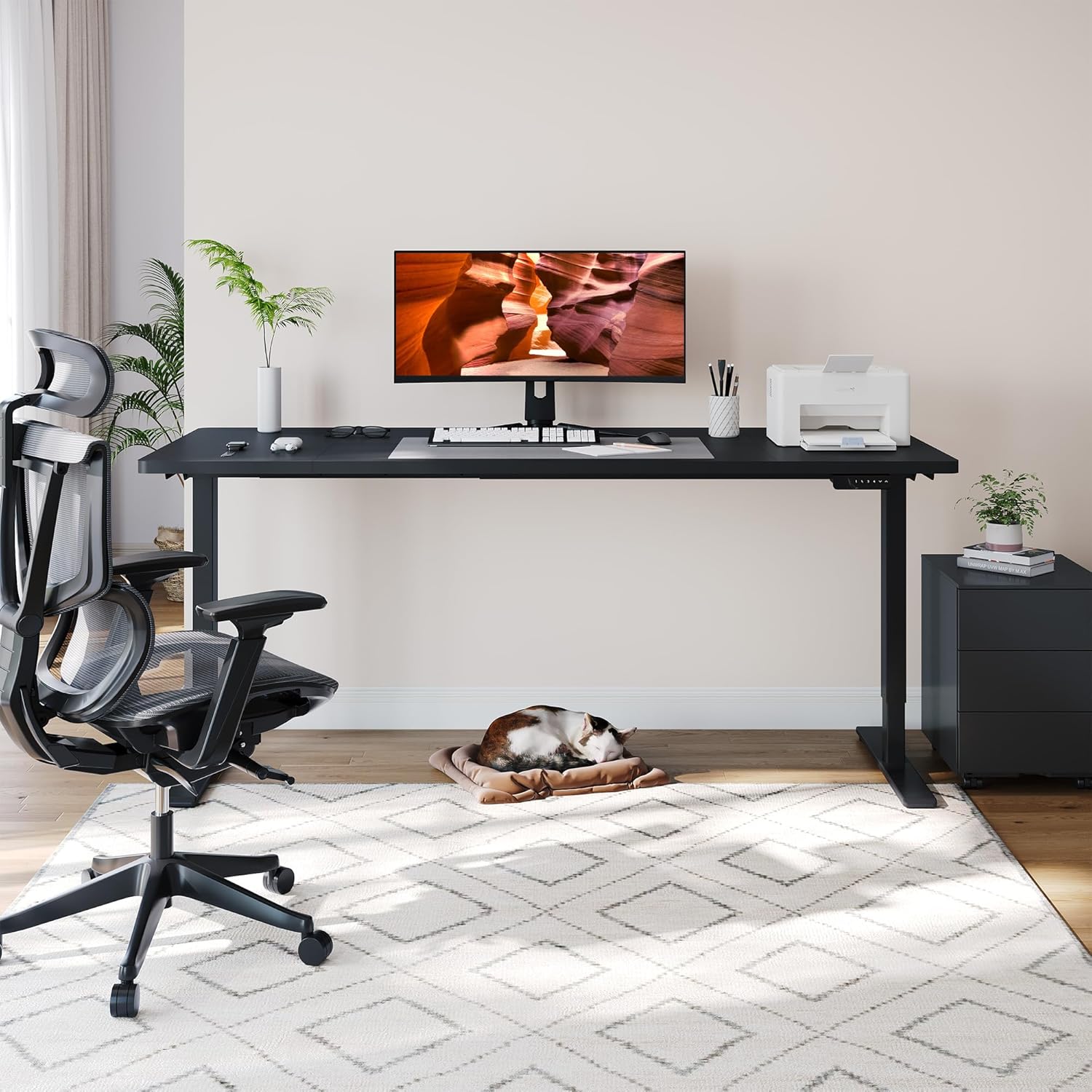 Dual Motor Standing Desk, Large Stand Up Desks, 79x31 Inches Electric Sit Stand Desk, 4 Memory Preset Adjustable Height Home Office Desk (Black)