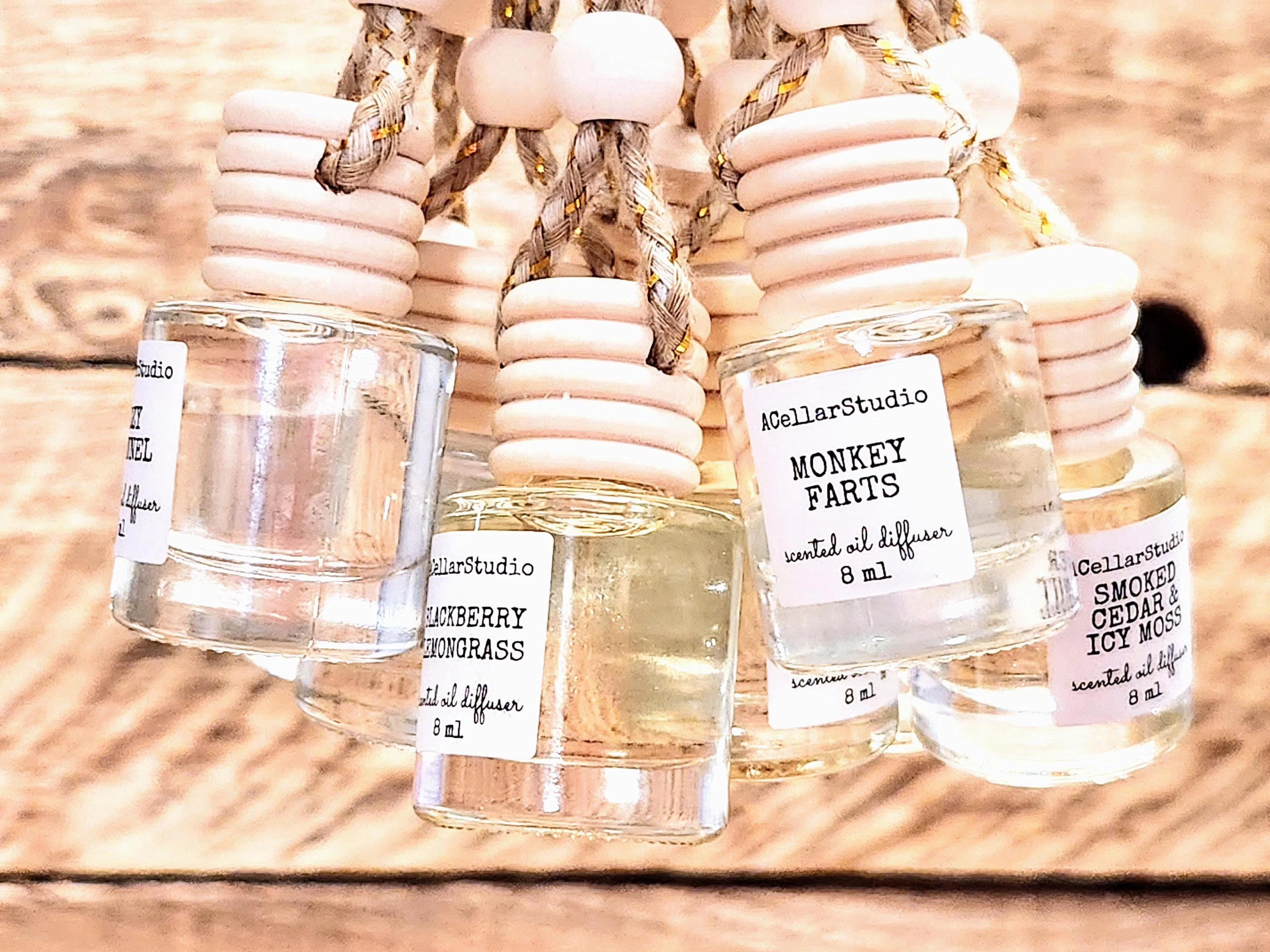Car Air Freshener, Car Oil Diffuser, Hanging Car Freshener, New Car Gift, Hanging Car Diffuser, Car Accessories, Car Freshies, 55+ Scents!