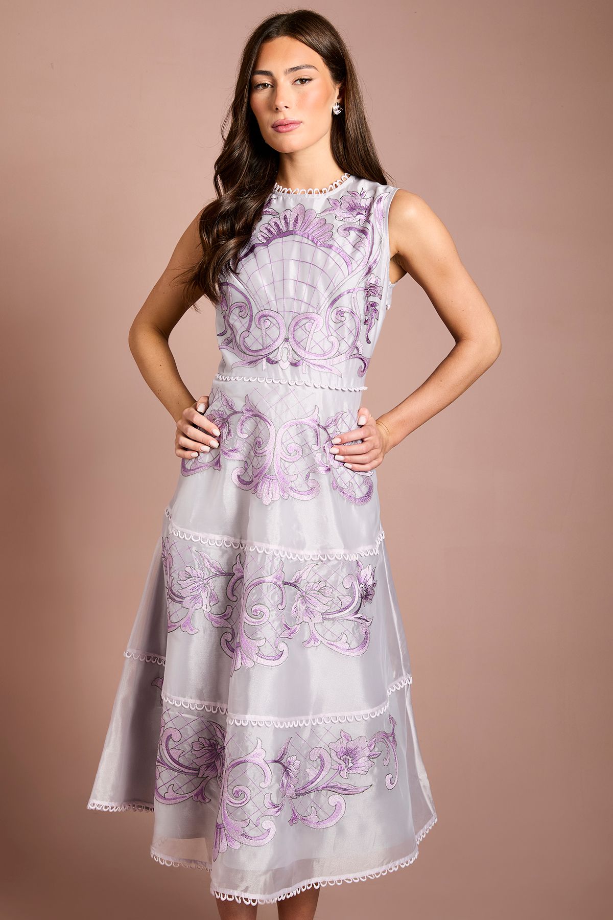 Coast Placement Embroidered Organza Lace Midi Dress