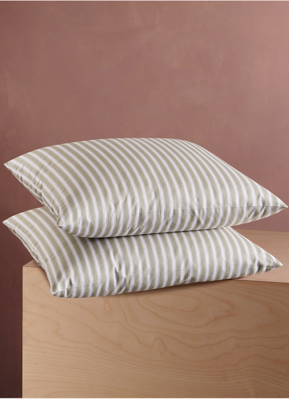 LOT DE 2 OREILLERS CARRÉS EN PLUMETTES BLANC