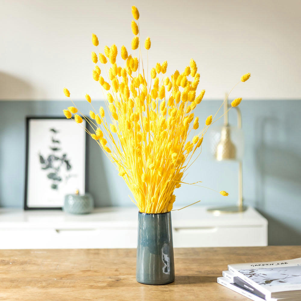- Botte de fleurs séchées Phalaris jaune